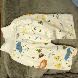 Potty Training Pants